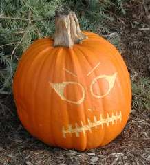 Mean, Nipomo Pumpkin Patch, carving idea